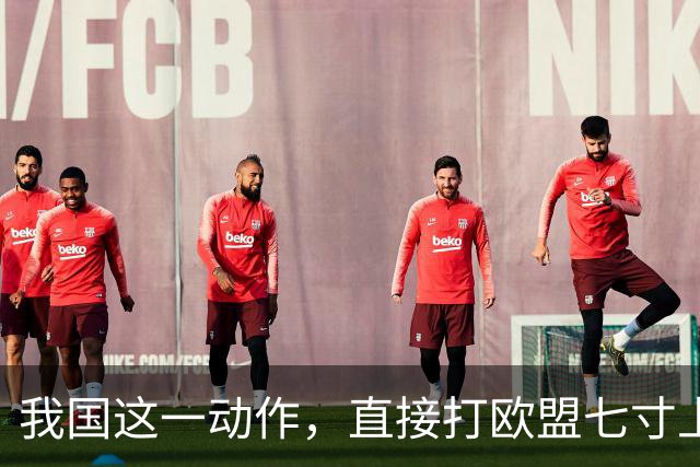 我国这一动作，直接打欧盟七寸上，欧盟内部瞬间安静了，不简单