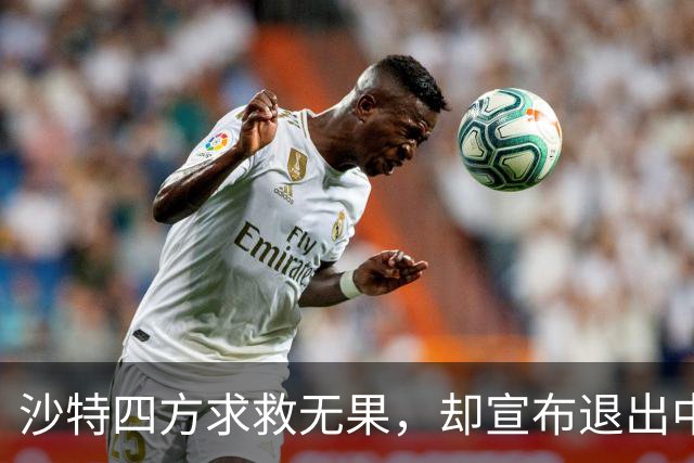 沙特四方求救无果，却宣布退出中国项目，这个选择很不明智？