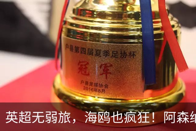 英超无弱旅，海鸥也疯狂！阿森纳3球惨败，拉亚成了远射背景板