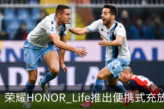 荣耀HONOR Life推出便携式充放电一体枪，5米599元、8米699元