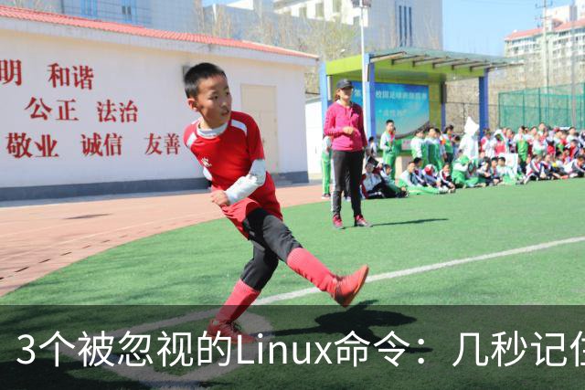 3个被忽视的Linux命令：几秒记住，一行解决老问题